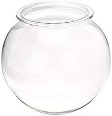 fish bowl